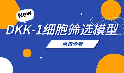 DKK-1細(xì)胞篩選模型 DKK-1細(xì)胞篩選模型